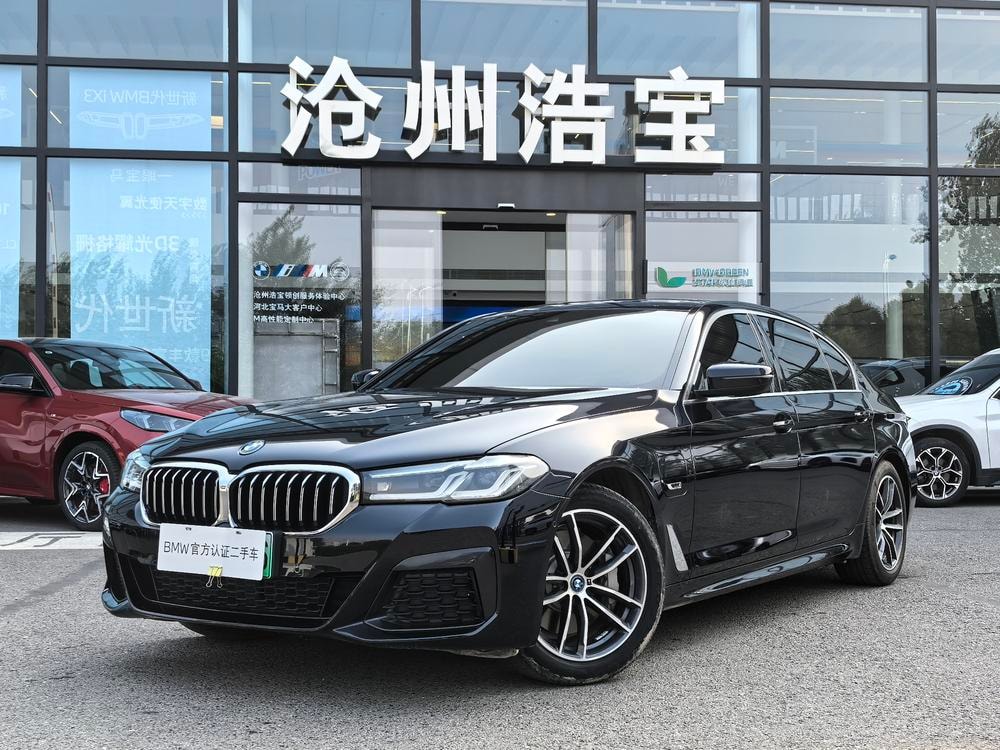 BMW 5-Series PHEV 2022 — фото автомобиля