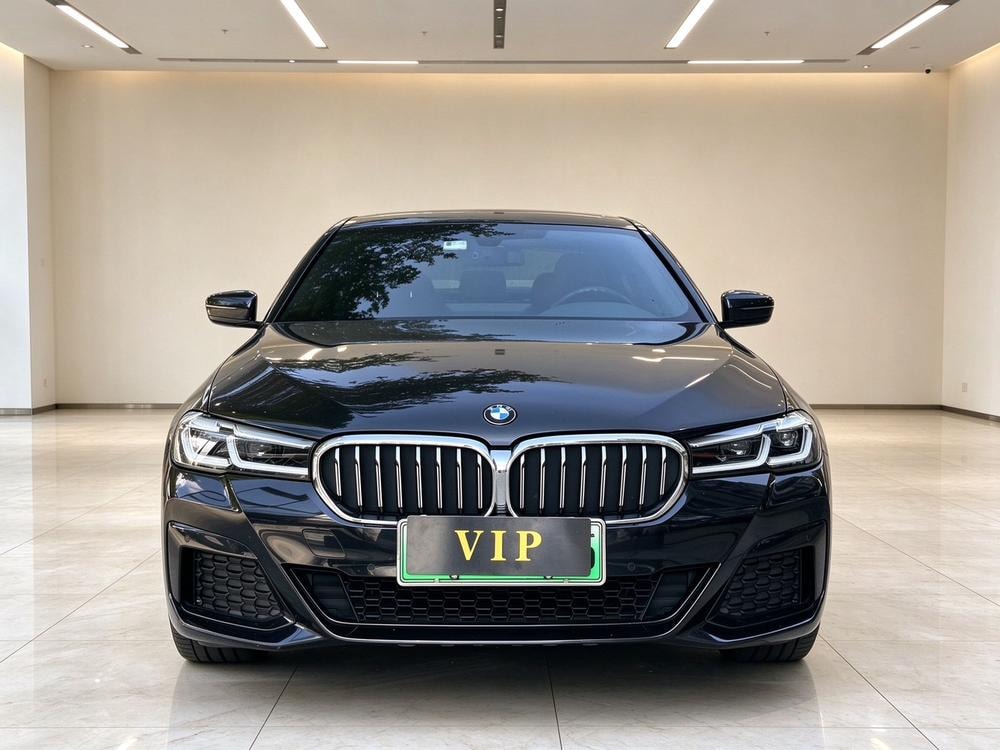 BMW 5-Series PHEV 2021 — фото автомобиля