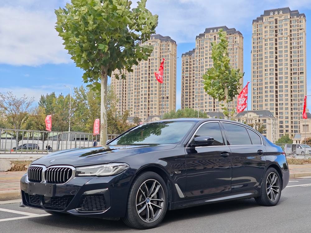 BMW 5-Series PHEV 2022 — фото автомобиля