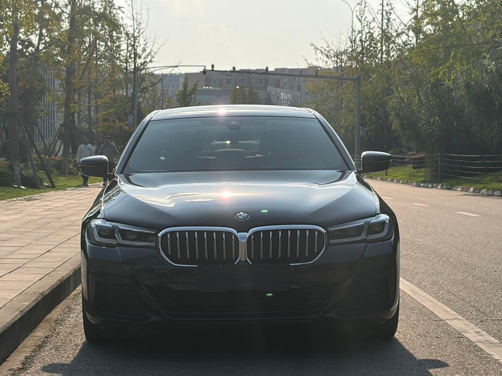 BMW 5-Series PHEV 2022 — фото автомобиля