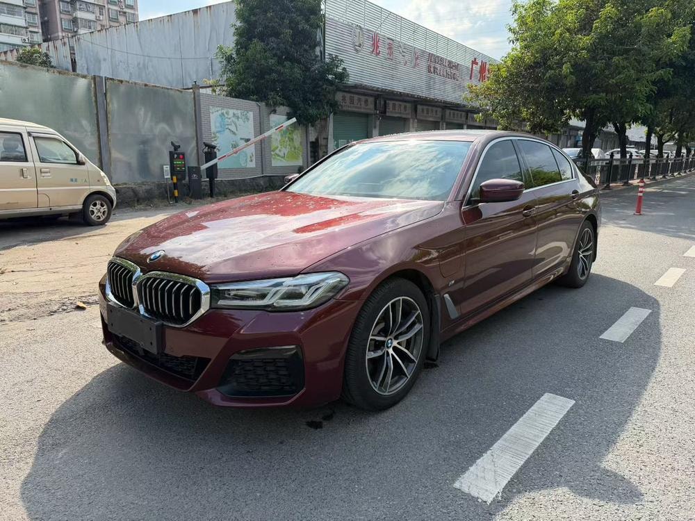 BMW 5-Series PHEV 2021 — фото автомобиля