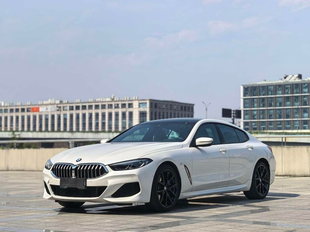 BMW 8-Series 2019 — фото автомобиля 1