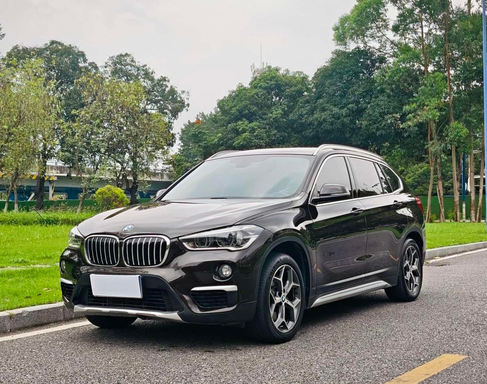 BMW X1 2019 — фото автомобиля 1