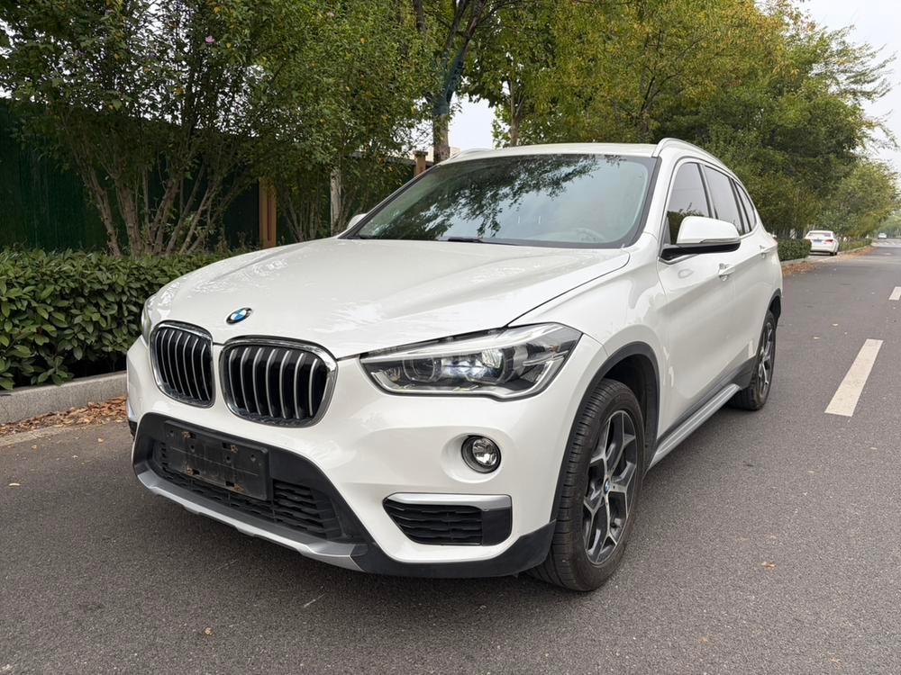 BMW X1 2019 — фото автомобиля 1