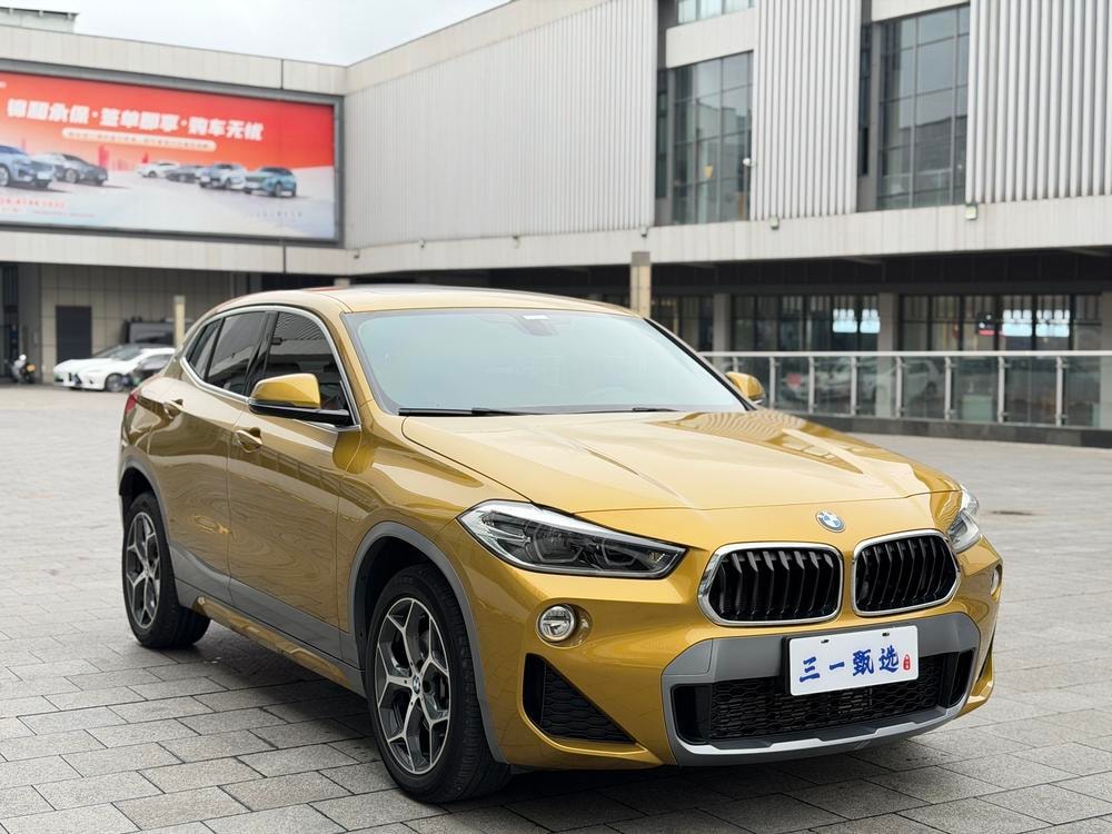 BMW X2 (Import) 2019 — фото автомобиля 1