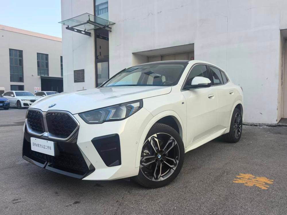 BMW X2 (Import) 2024 — фото автомобиля