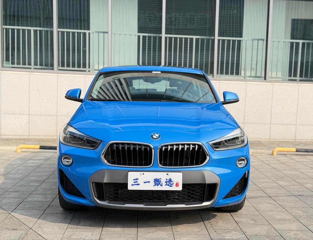 BMW X2 (Import) 2019 — фото автомобиля