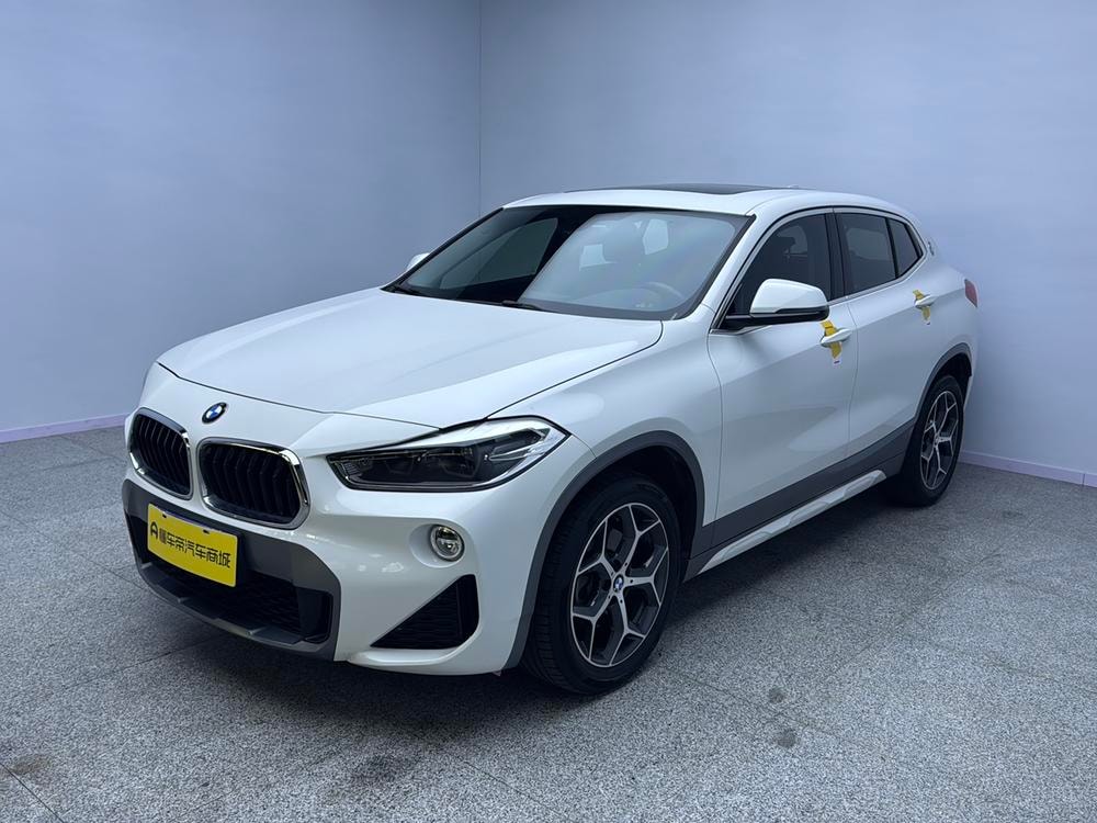 BMW X2 (Import) 2019 — фото автомобиля