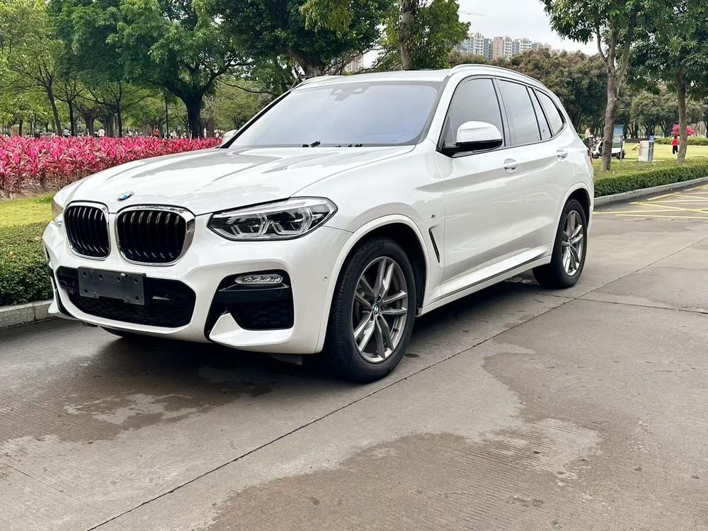BMW X3 2019 — фото автомобиля