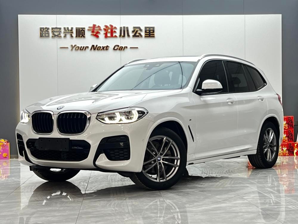 BMW X3 2019 — фото автомобиля
