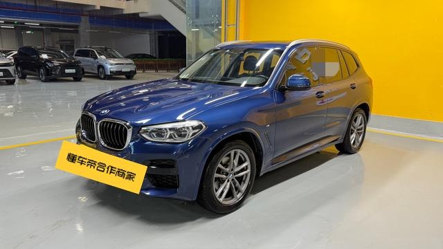 BMW X3 2019 — фото автомобиля