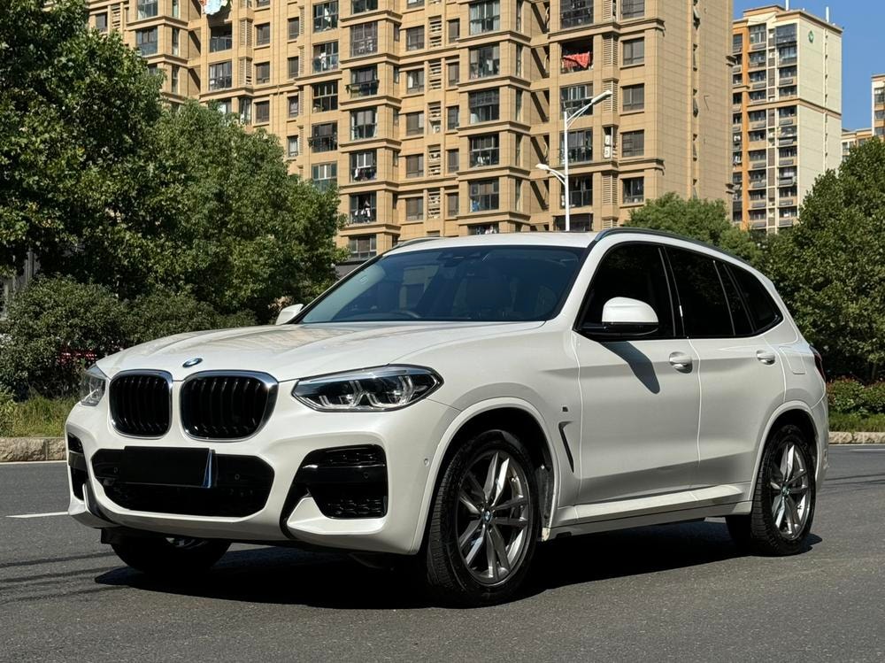 BMW X3 2019 — фото автомобиля 1