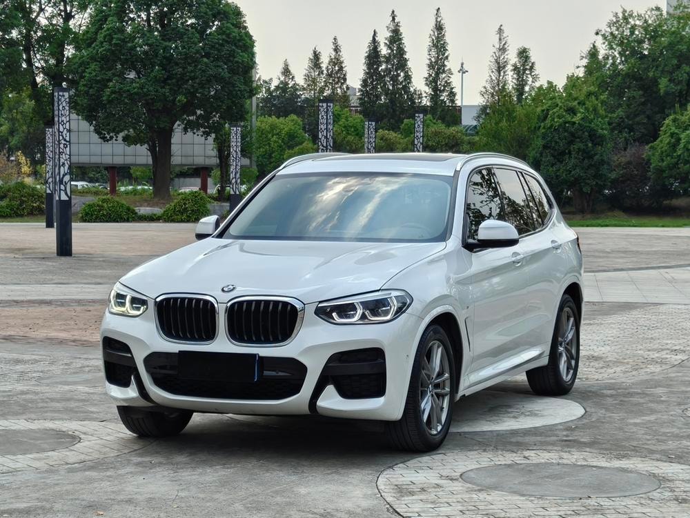 BMW X3 2019 — фото автомобиля