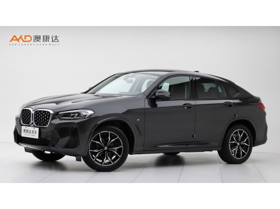 BMW X4 2022 — фото автомобиля 1