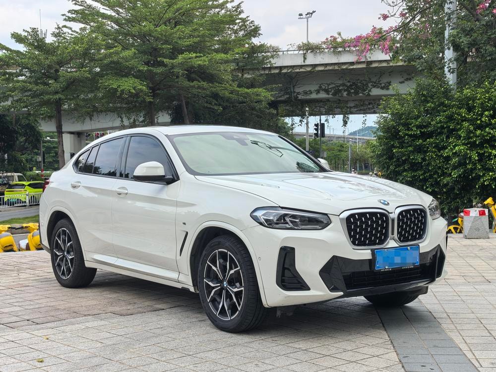 BMW X4 2022 — фото автомобиля 1