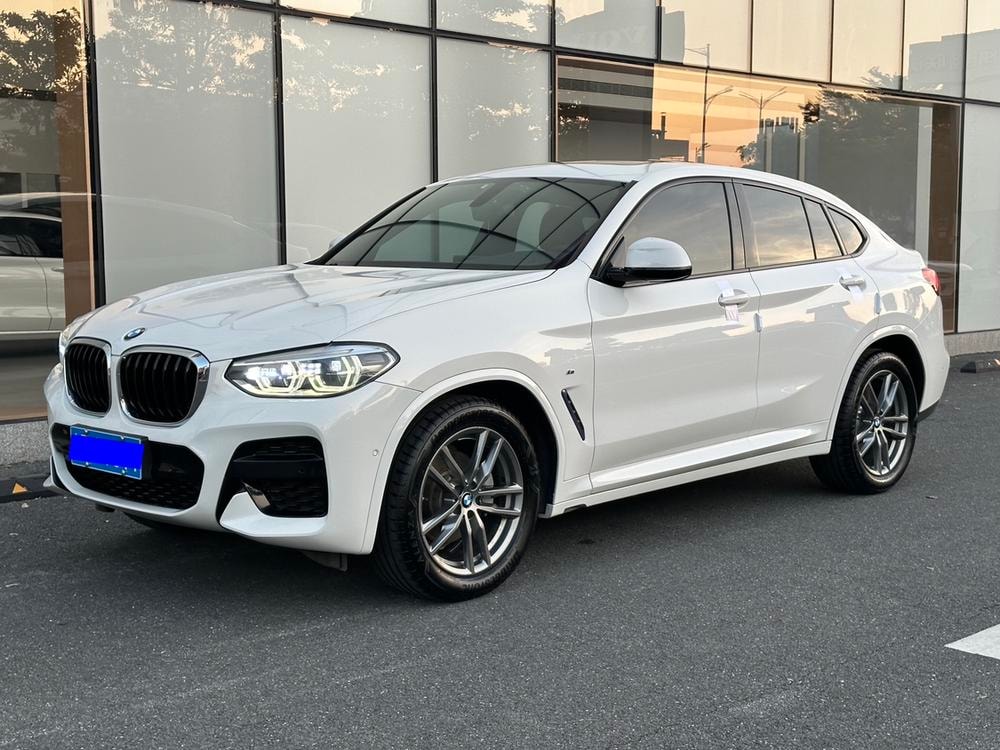 BMW X4 2019 — фото автомобиля