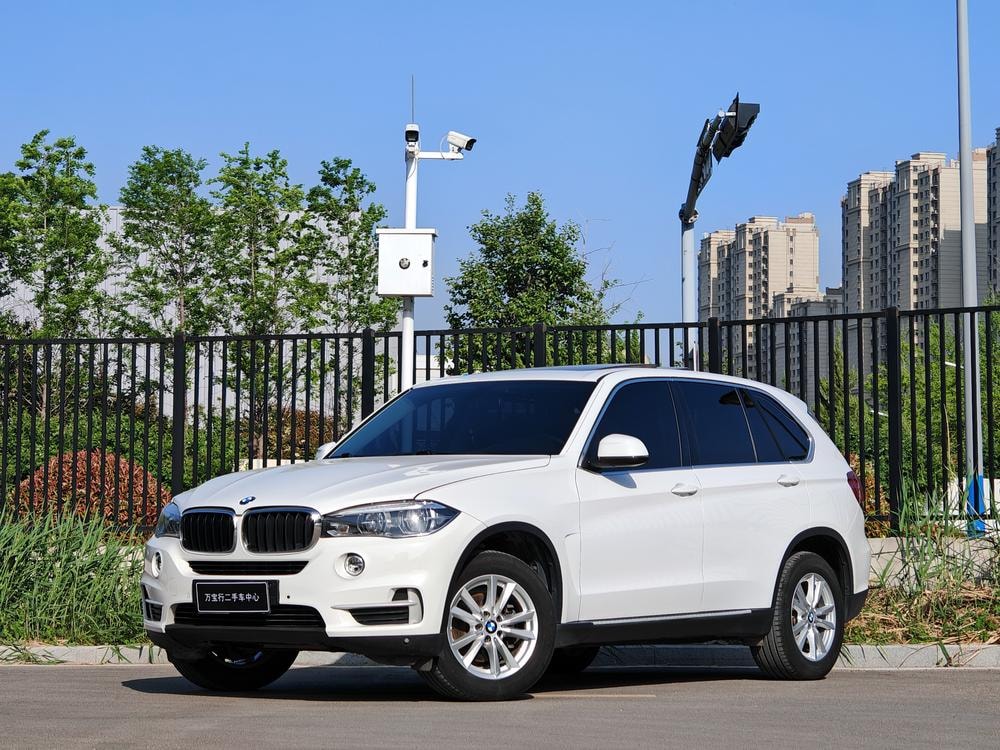 BMW X5 (Import) 2017 — фото автомобиля 1