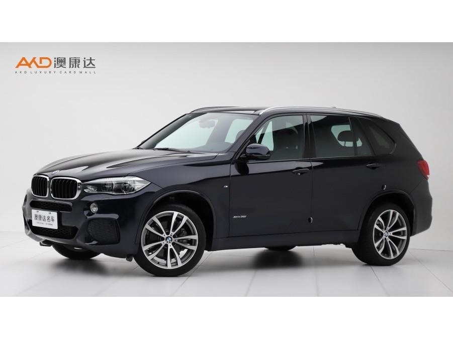BMW X5 (Import) 2018 — фото автомобиля 1