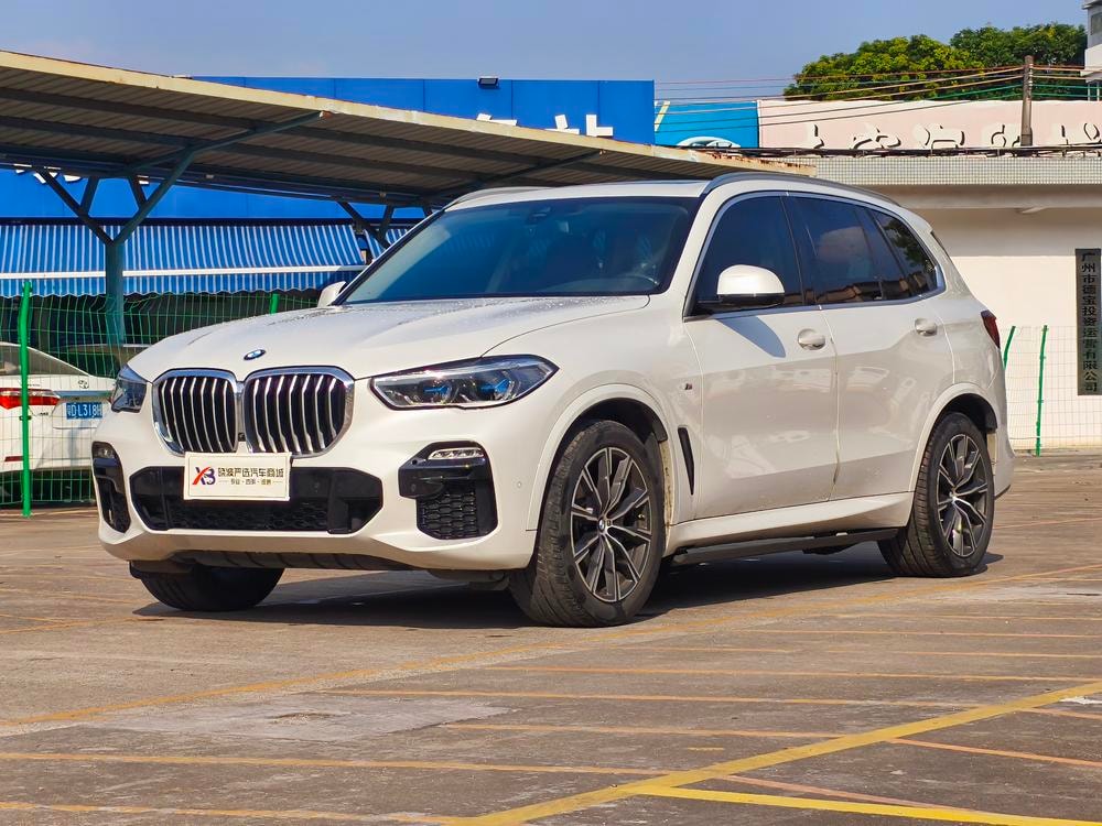 BMW X5 (Import) 2019 — фото автомобиля