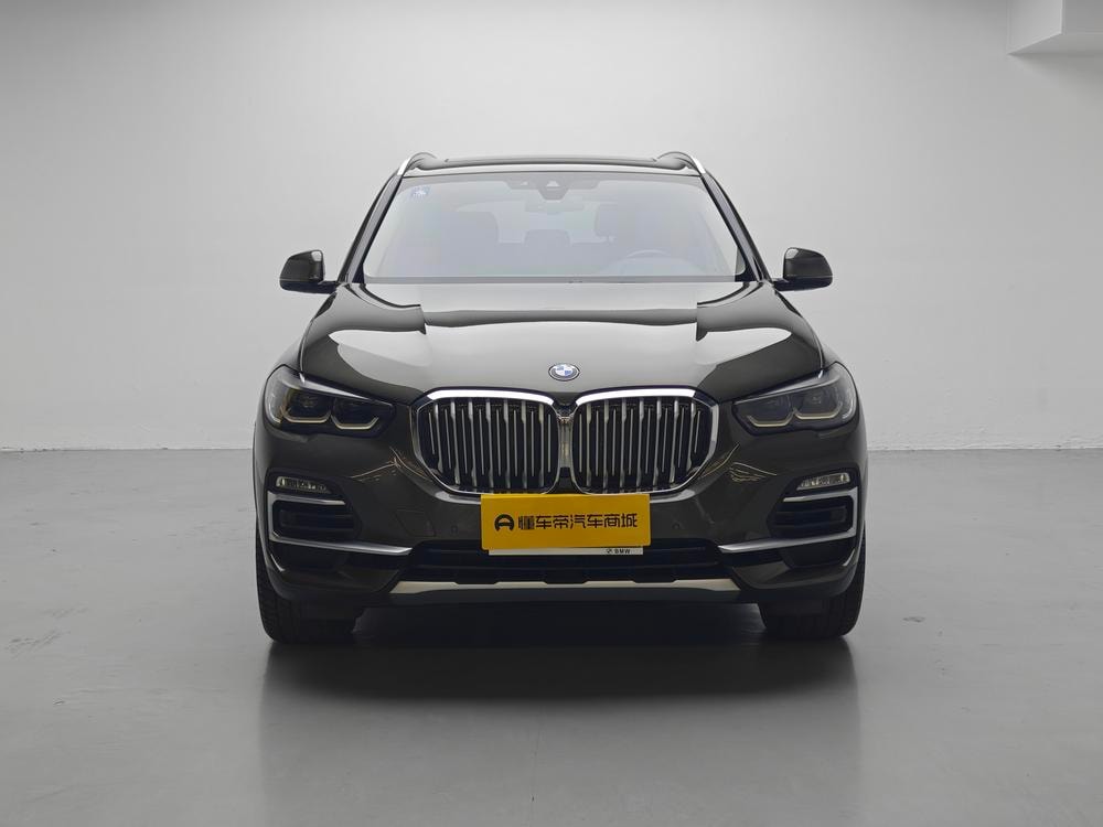 BMW X5 (Import) 2019 — фото автомобиля 1