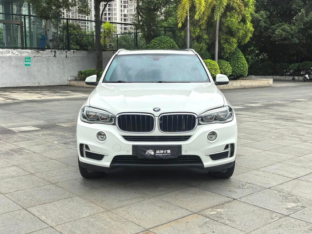 BMW X5 (Import) 2014 — фото автомобиля 1