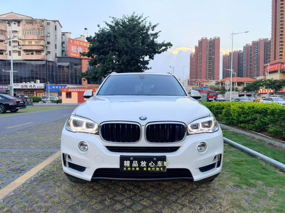 BMW X5 (Import) 2014 — фото автомобиля 1
