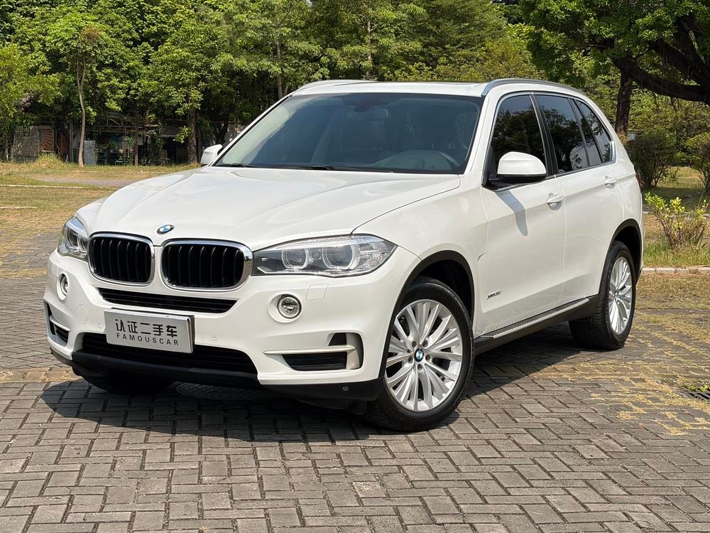 BMW X5 (Import) 2014 — фото автомобиля 1