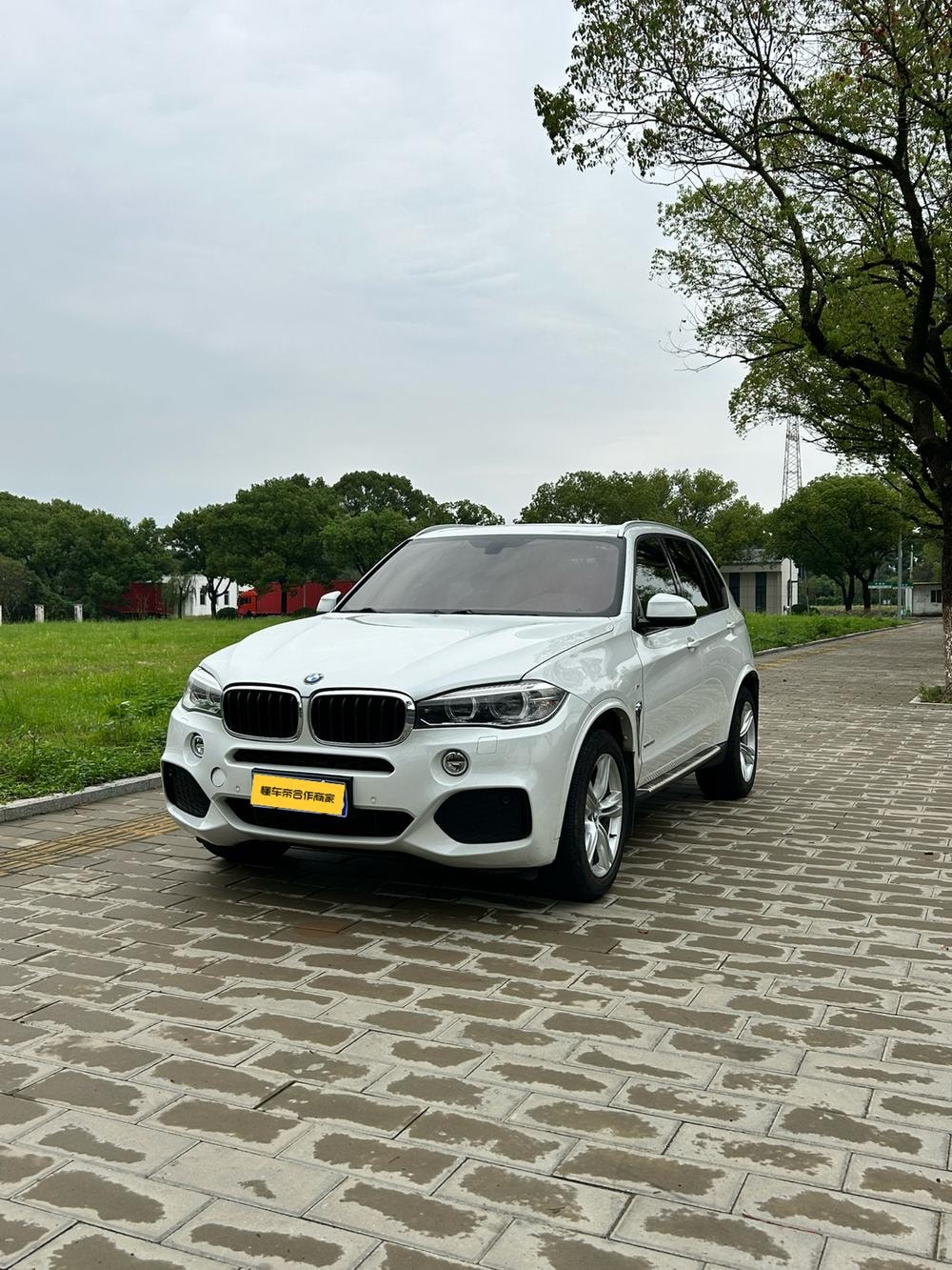 BMW X5 (Import) 2017 — фото автомобиля 1