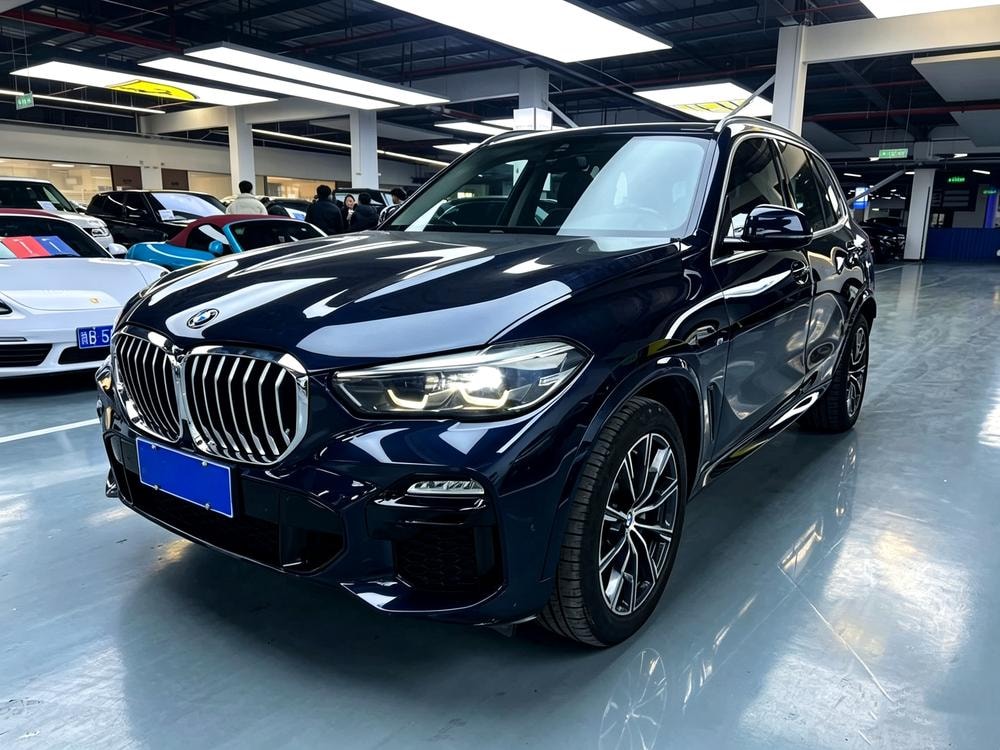 BMW X5 (Import) 2019 — фото автомобиля 1