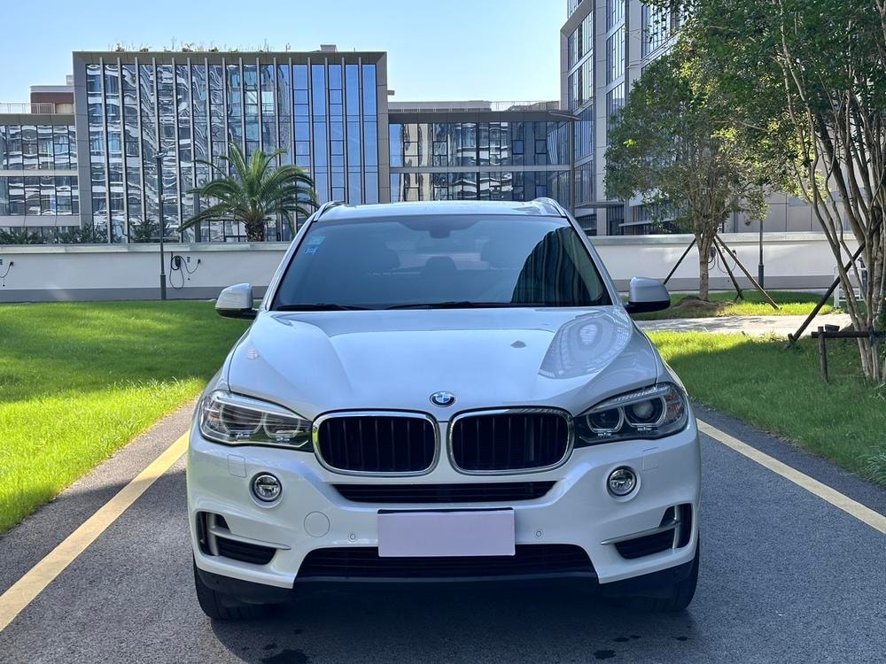 BMW X5 (Import) 2014 — фото автомобиля 1
