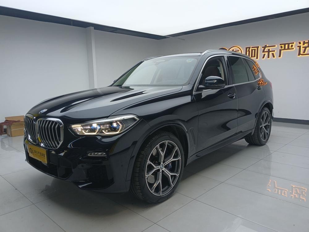 BMW X5 (Import) 2019 — фото автомобиля