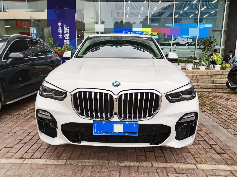 BMW X5 (Import) 2019 — фото автомобиля 1