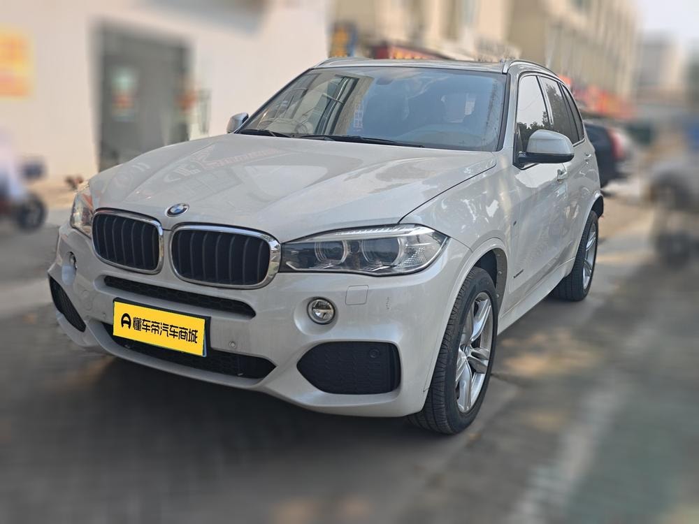 BMW X5 (Import) 2017 — фото автомобиля 1