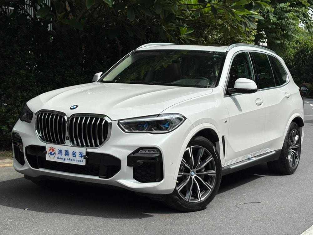 BMW X5 (Import) 2019 — фото автомобиля
