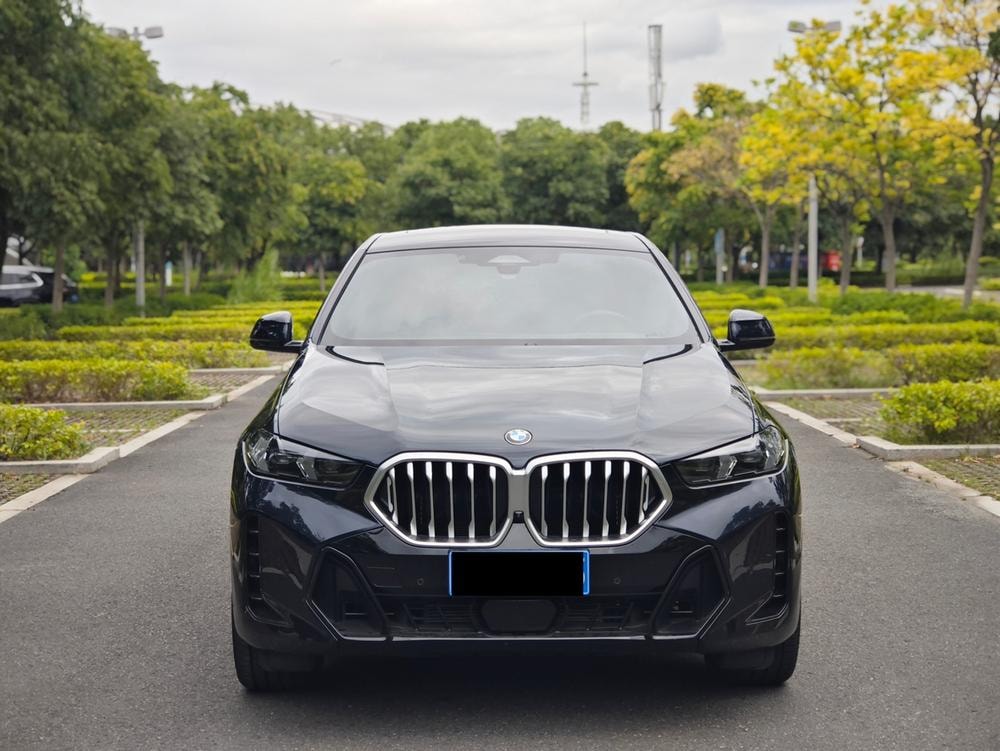 BMW X6 2023 — фото автомобиля 1