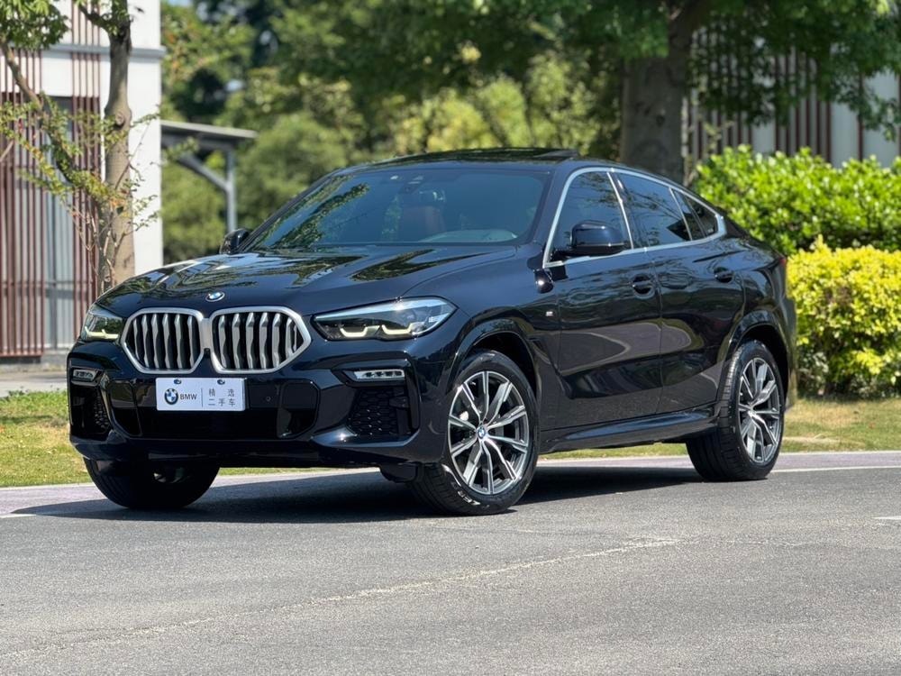 BMW X6 2021 — фото автомобиля
