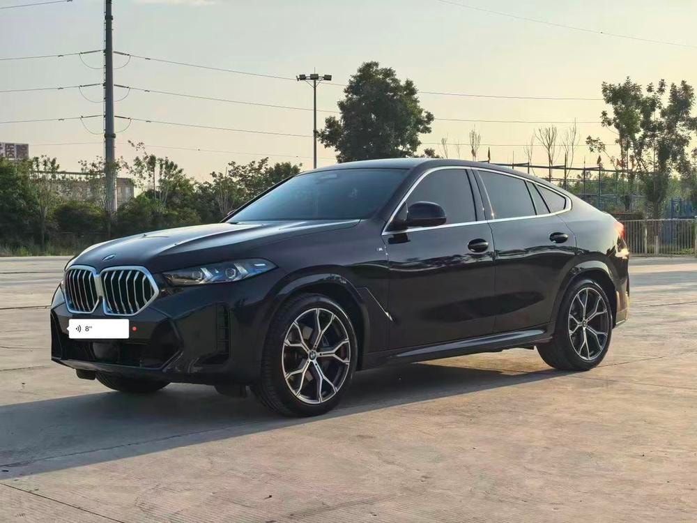 BMW X6 2023 — фото автомобиля 1