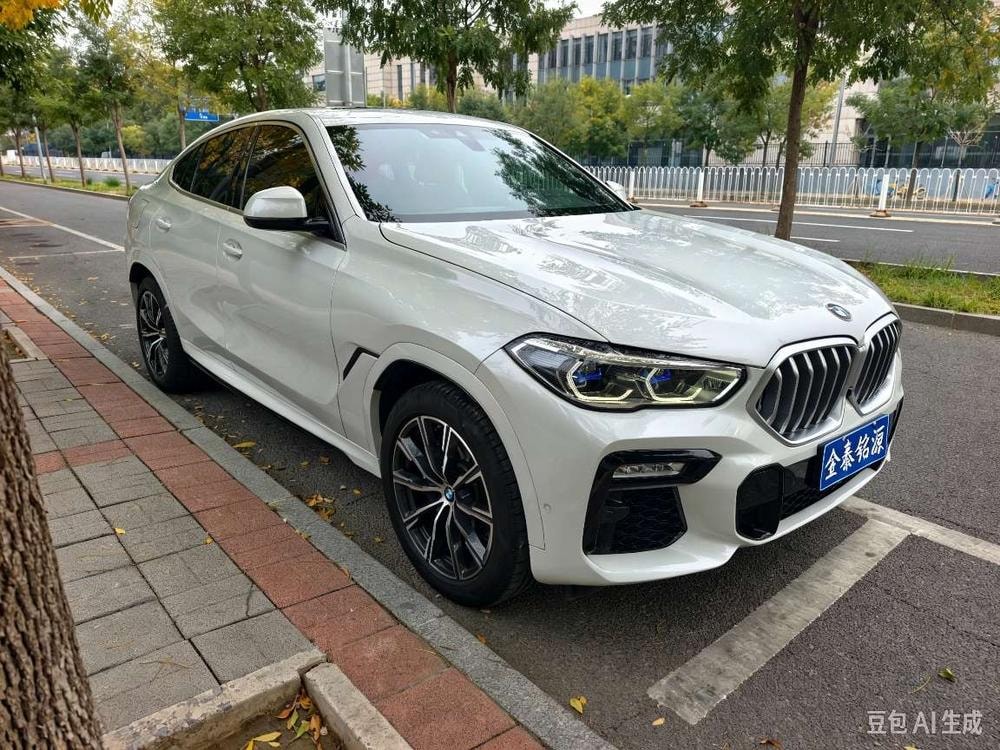 BMW X6 2020 — фото автомобиля