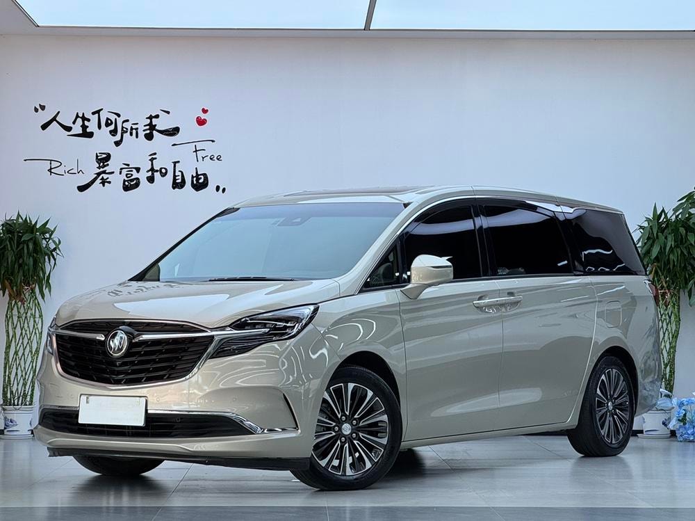 Buick GL8 2020 — фото автомобиля