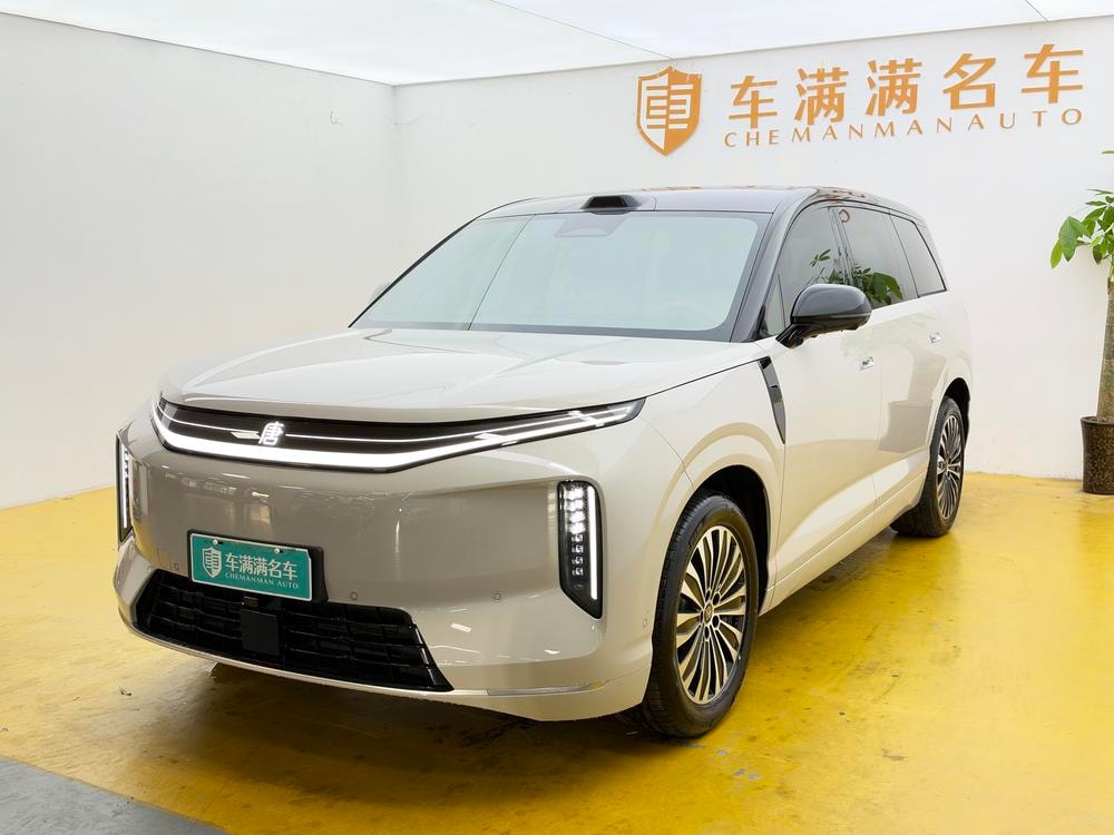 BYD 大唐EV 2026 — фото автомобиля