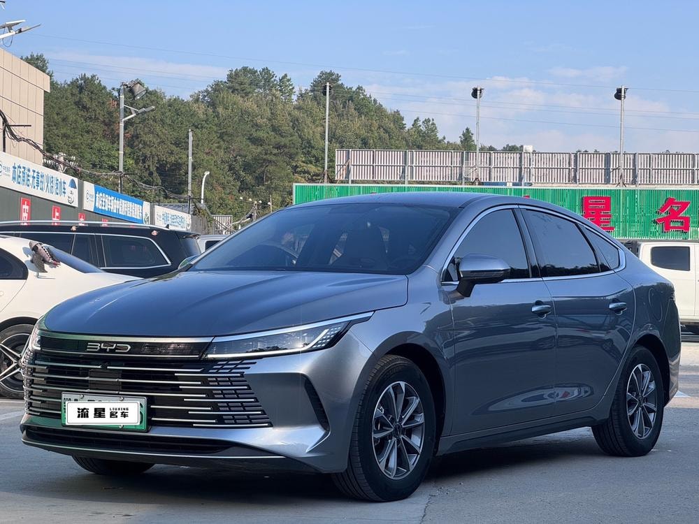 BYD Destroyer 05 2024 — фото автомобиля
