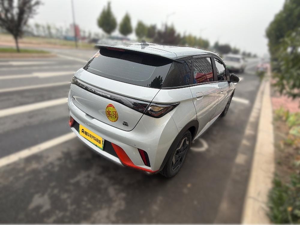 BYD Dolphin 2021 — фото автомобиля