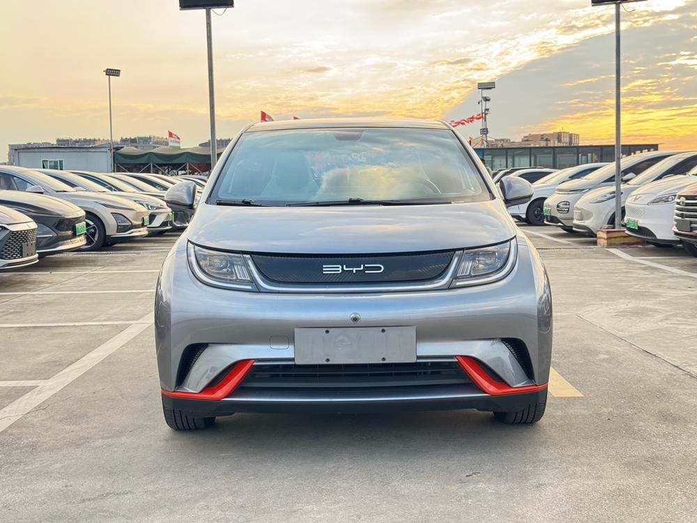 BYD Dolphin 2021 — фото автомобиля