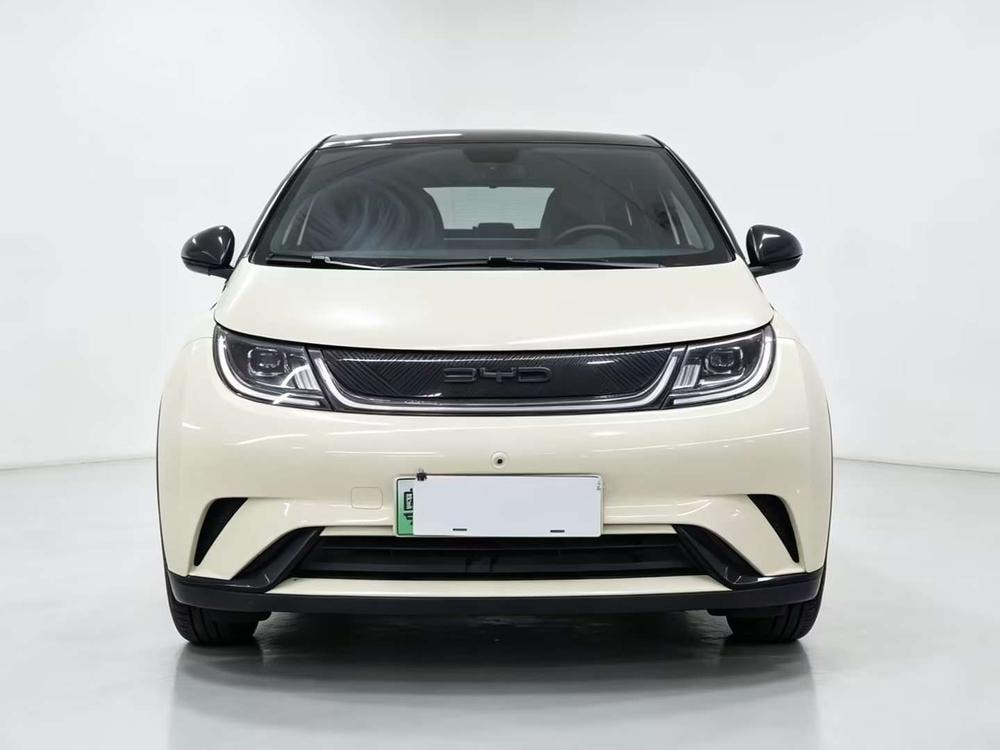 BYD Dolphin 2021 — фото автомобиля
