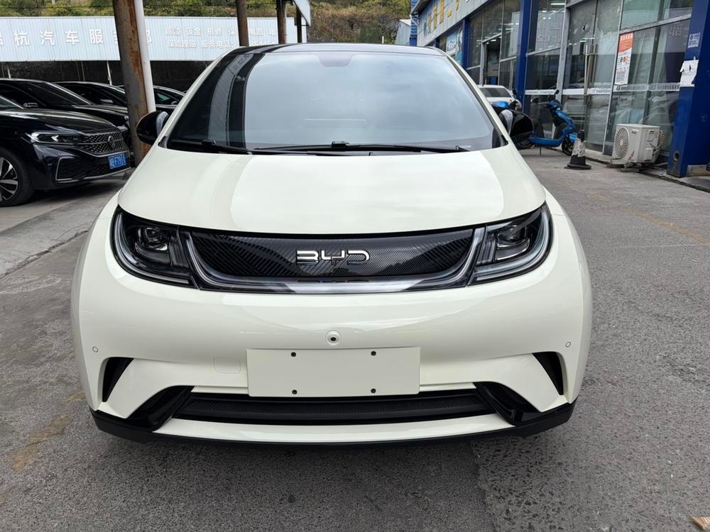 BYD Dolphin 2023 — фото автомобиля