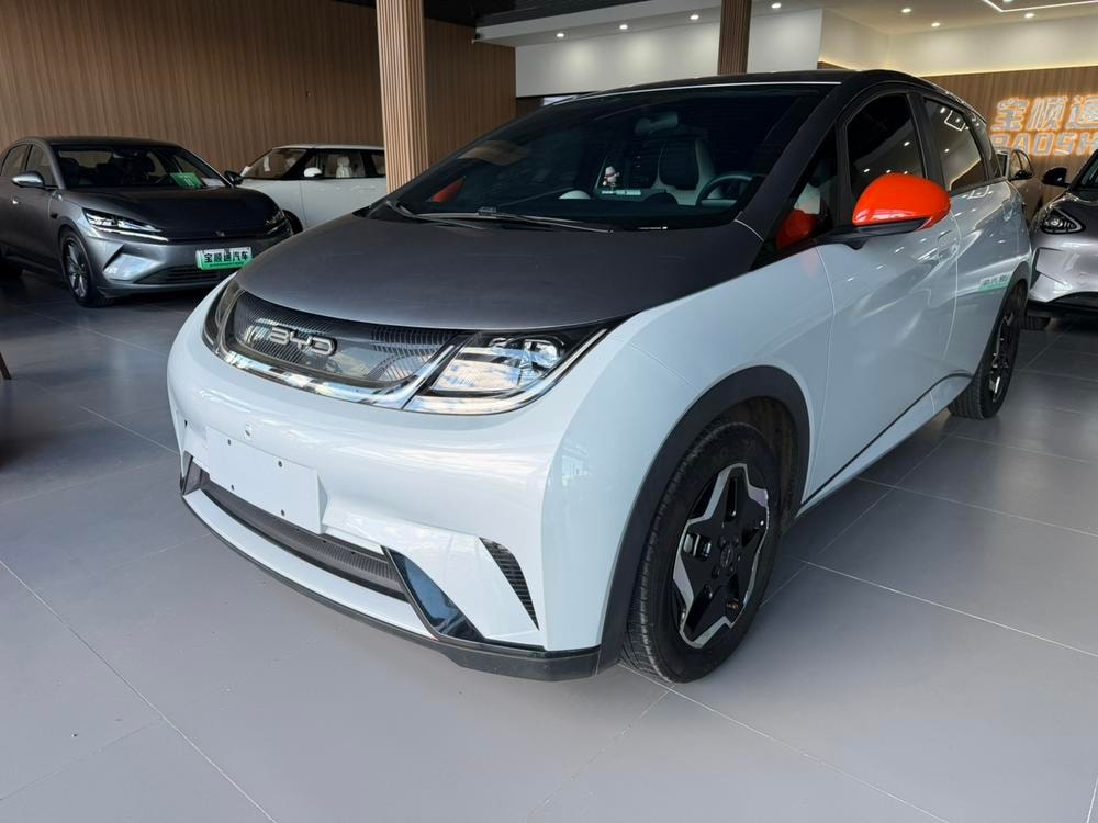 BYD Dolphin 2021 — фото автомобиля 1