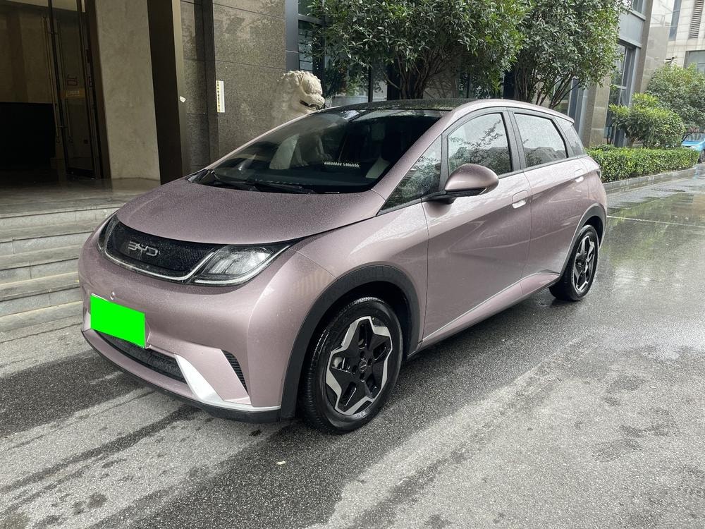 BYD Dolphin 2021 — фото автомобиля