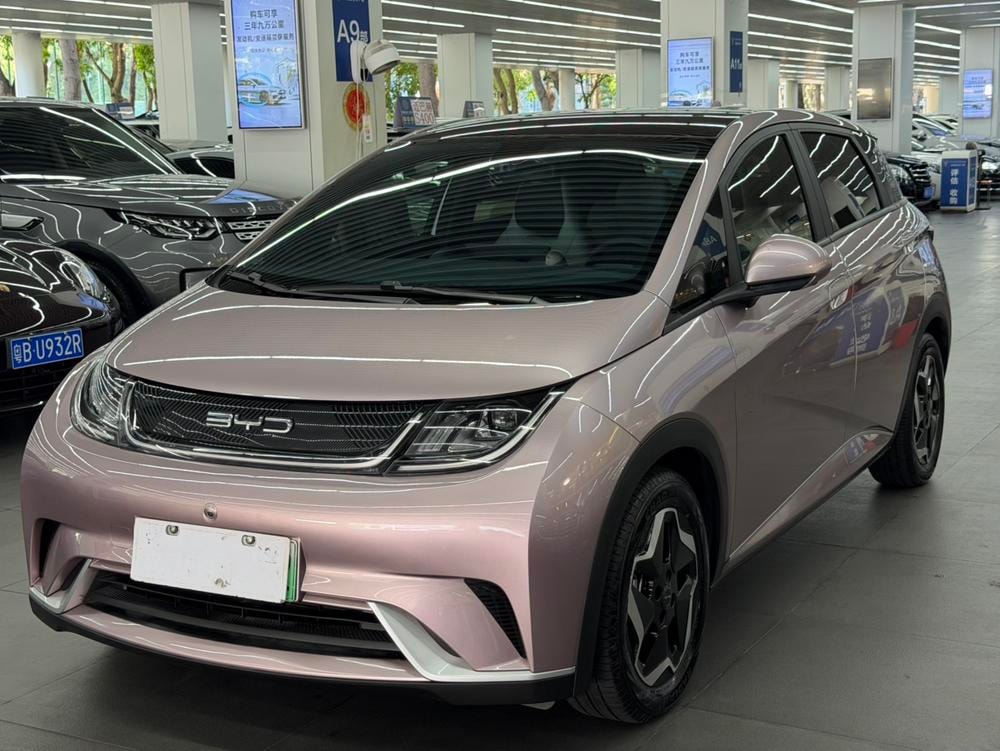 BYD Dolphin 2021 — фото автомобиля
