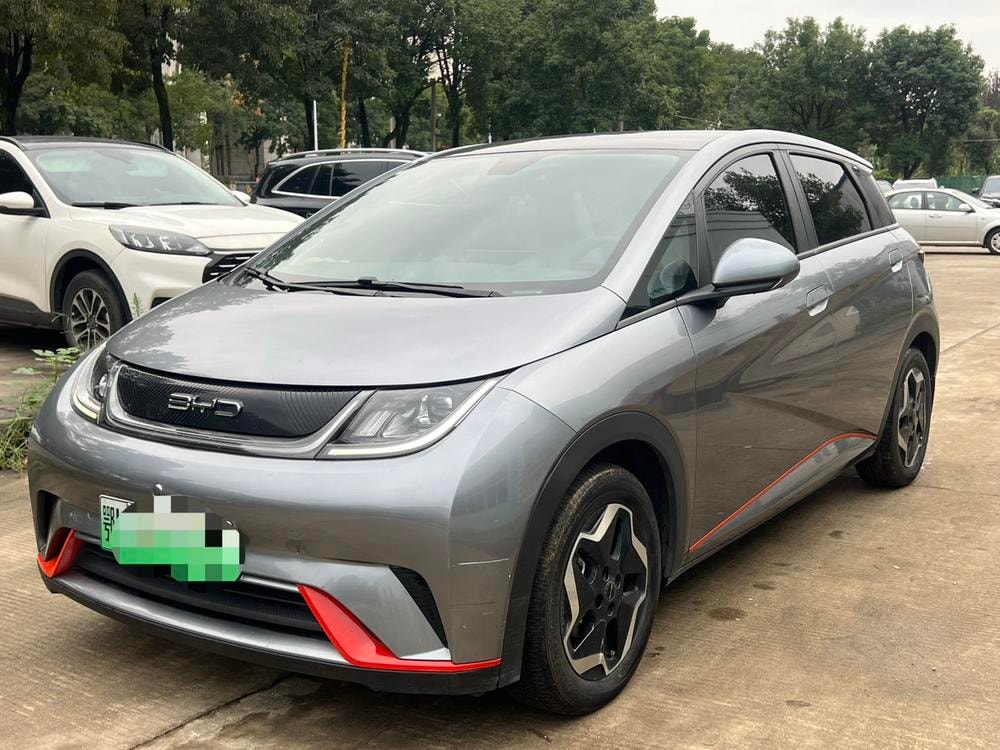 BYD Dolphin 2021 — фото автомобиля