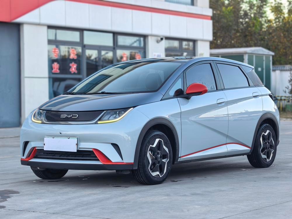 BYD Dolphin 2021 — фото автомобиля